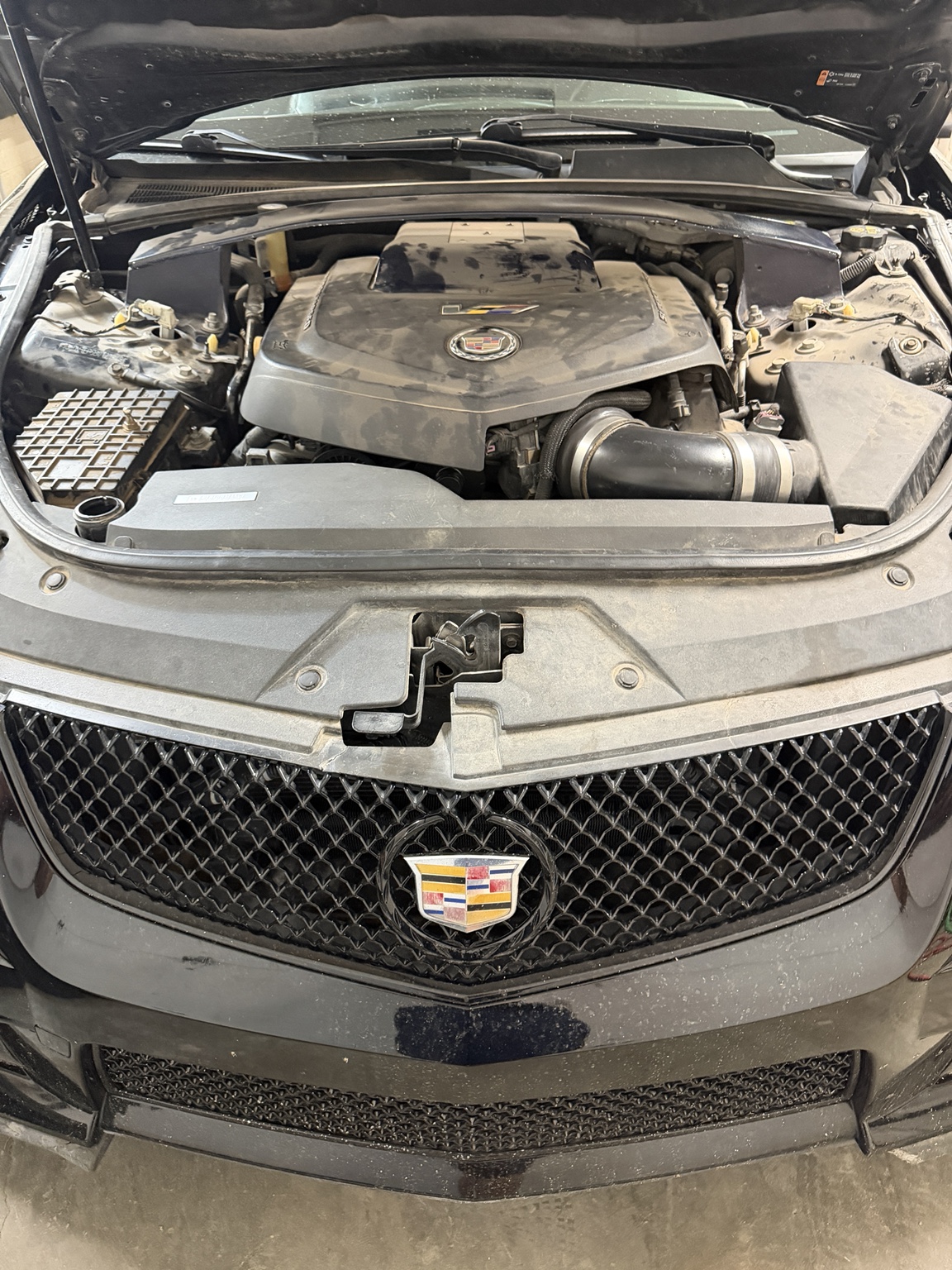 Cadillac automotive detailing project in Carlsbad NM